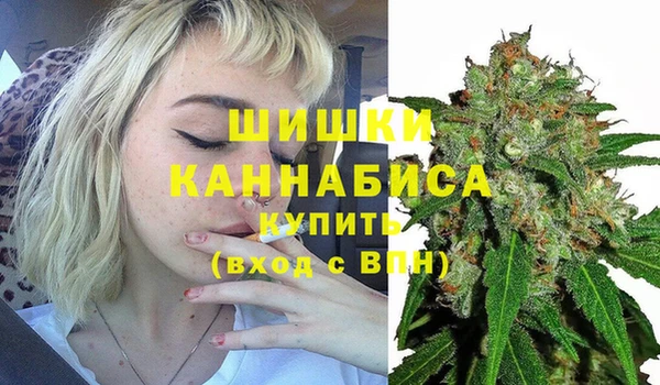 прущие крисы Покачи