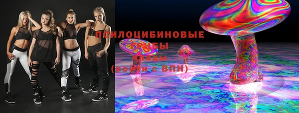 гашик Алексин