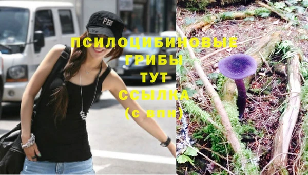 PSILOCYBIN Покровск