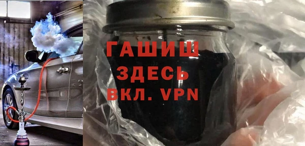 гашик Алексин