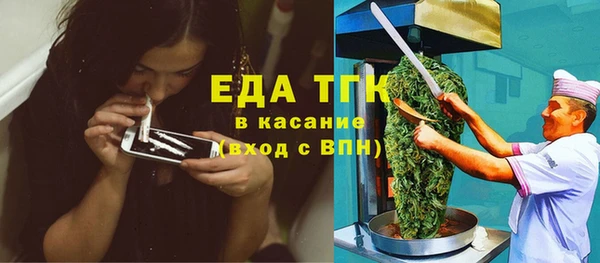 гашик Алексин