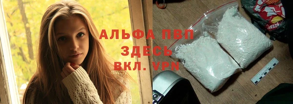 гашик Алексин