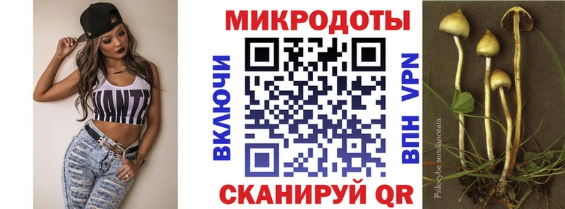 хочу   Каневская  shop какой сайт  Галлюциногенные грибы Cubensis 